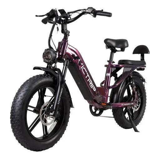 Electric fat tire bike with rear backrest, heavy-duty frame, and front suspension.