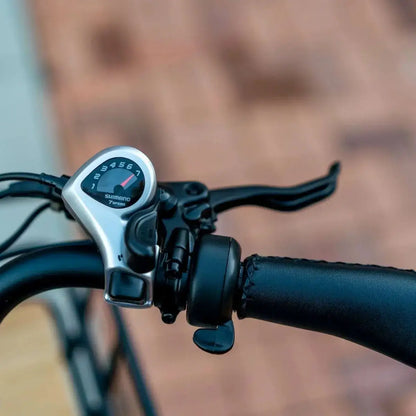 Emojo Bison Pro electric trike cargo basket view