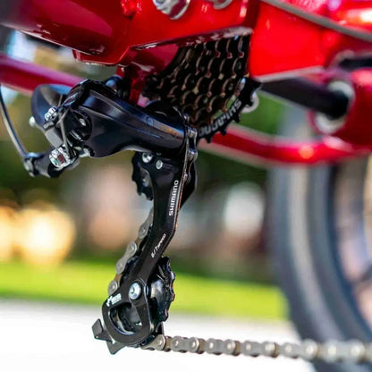 Emojo Caddy Pro electric trike front cargo basket