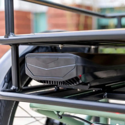 Emojo Dexter electric bike rear rack view