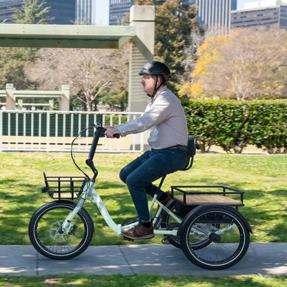 Emojo Dexter electric bike motor detail