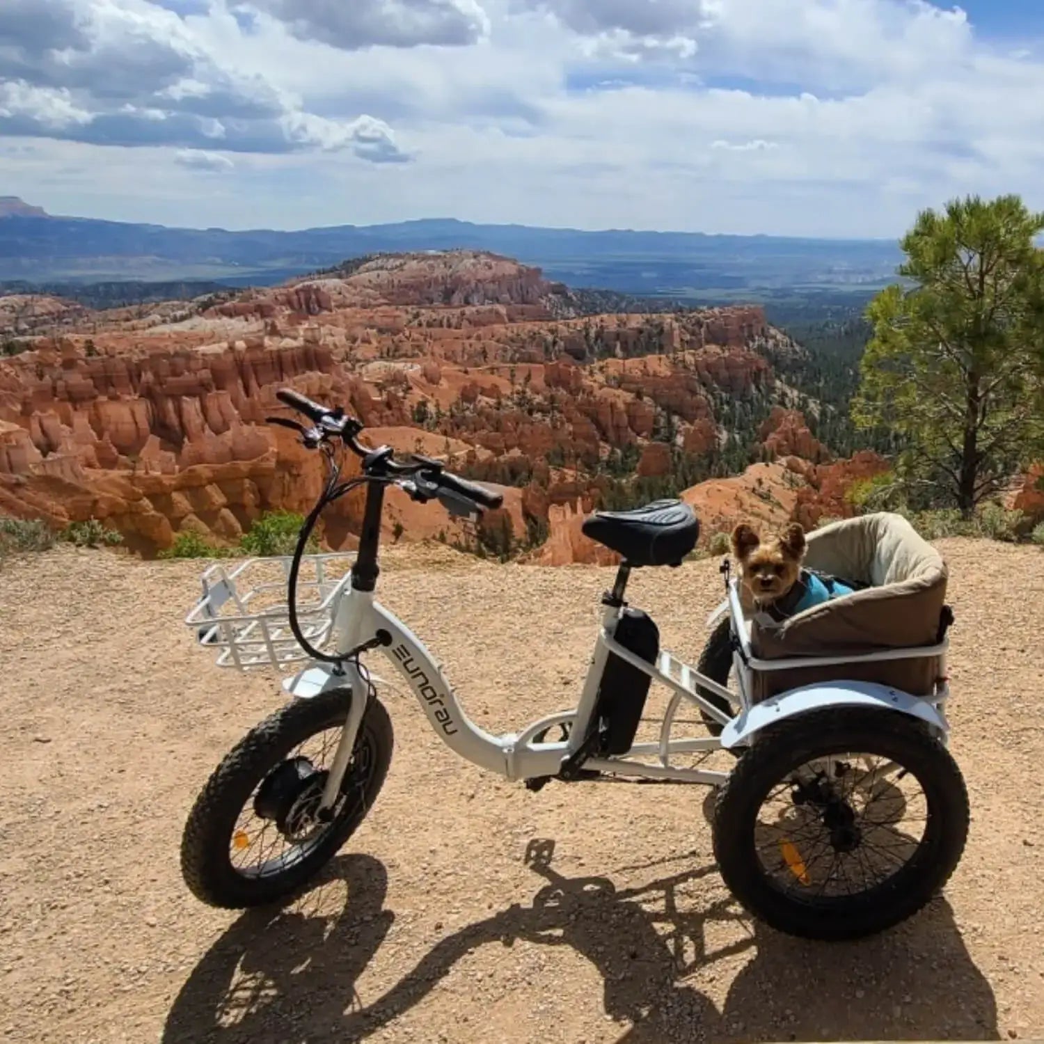 Eunorau New Trike 2.0 electric tricycle accessories