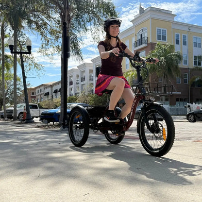 Eunorau One Trike 2.0 electric tricycle wheel detail