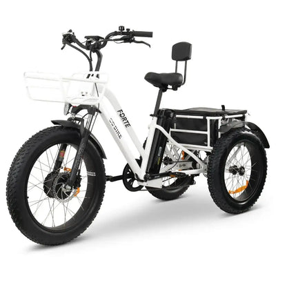 GoBike Forte electric tricycle rear view