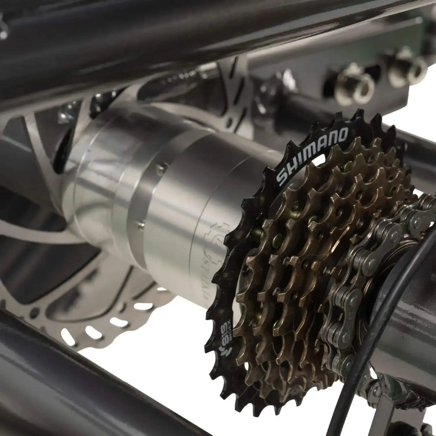 GoBike Forza electric tricycle rear view