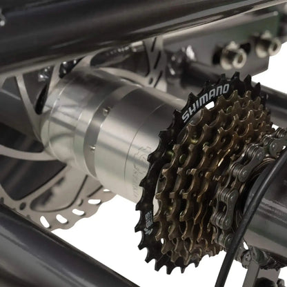 GoBike Forza electric tricycle rear view