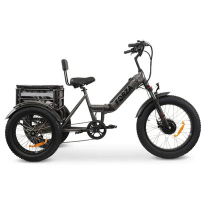 GoBike Forza electric tricycle angled view