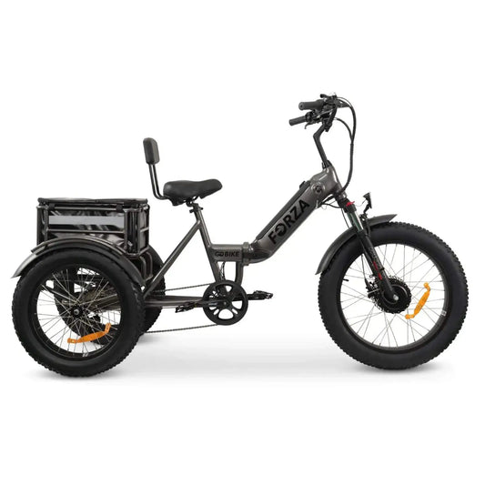 GoBike Forza electric tricycle angled view
