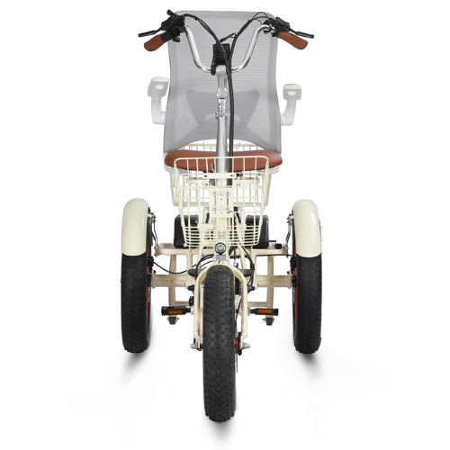 Simple Glide Dual 750W electric scooter wheel detail